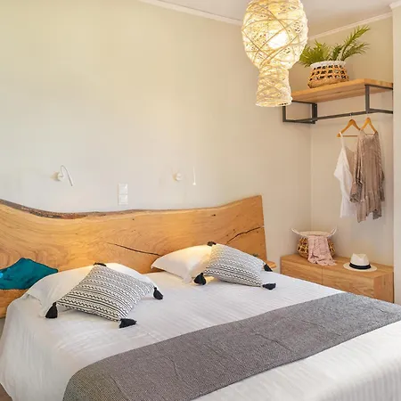 Penny Luxury Apartment Kokkari